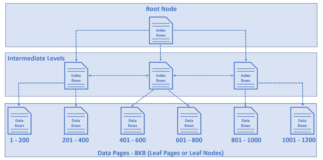 Tổ chức dữ liệu trong SQL Server