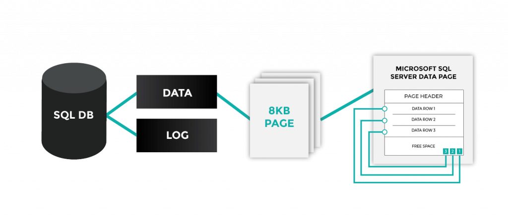 Tổ chức dữ liệu trong SQL Server